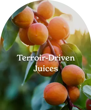 terroir driven juices