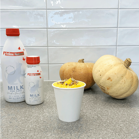 Pumpkin cattuccino sits on a kitchen bench. Two pumpkins and two bottles of Feline Natural cat milk sits behind.