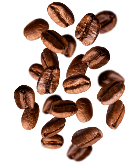 Finca KOA specialty coffee bean
