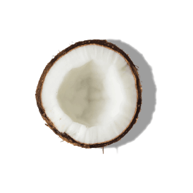 https://cdn.shopify.com/s/files/1/0578/7687/3387/files/COCONUT-OIL.png?v=1643937285