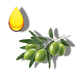 https://cdn.shopify.com/s/files/1/0578/7687/3387/files/Ingredients_0015_Olive.png?v=1647398480