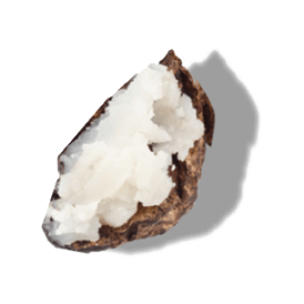 https://cdn.shopify.com/s/files/1/0578/7687/3387/files/SHEA-BUTTER.png?v=1643938134