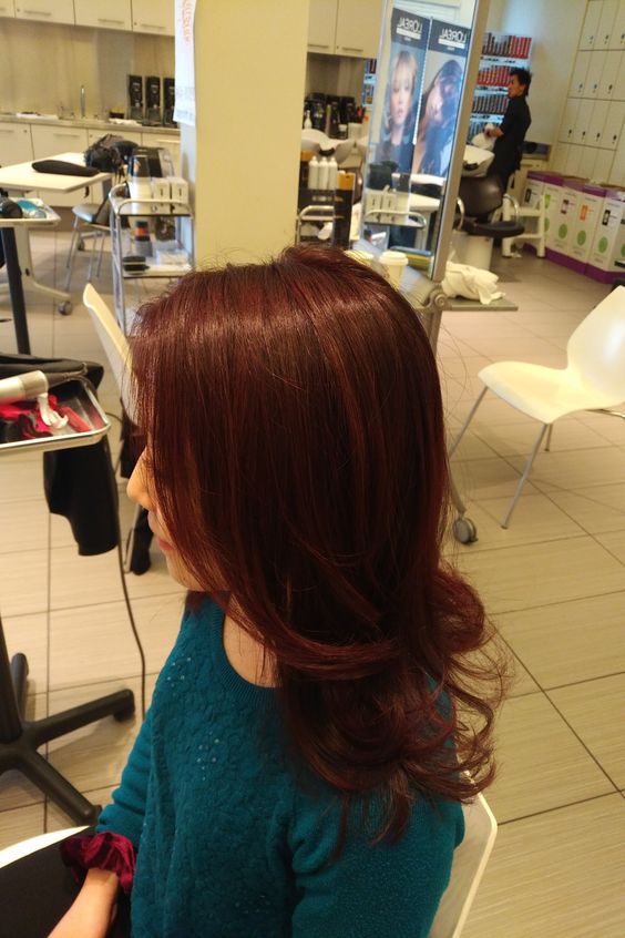 Mahogany Color How to Style the Trend  All Things Hair US
