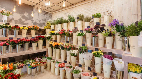 Flower Shop