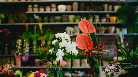 flower shop in Doha