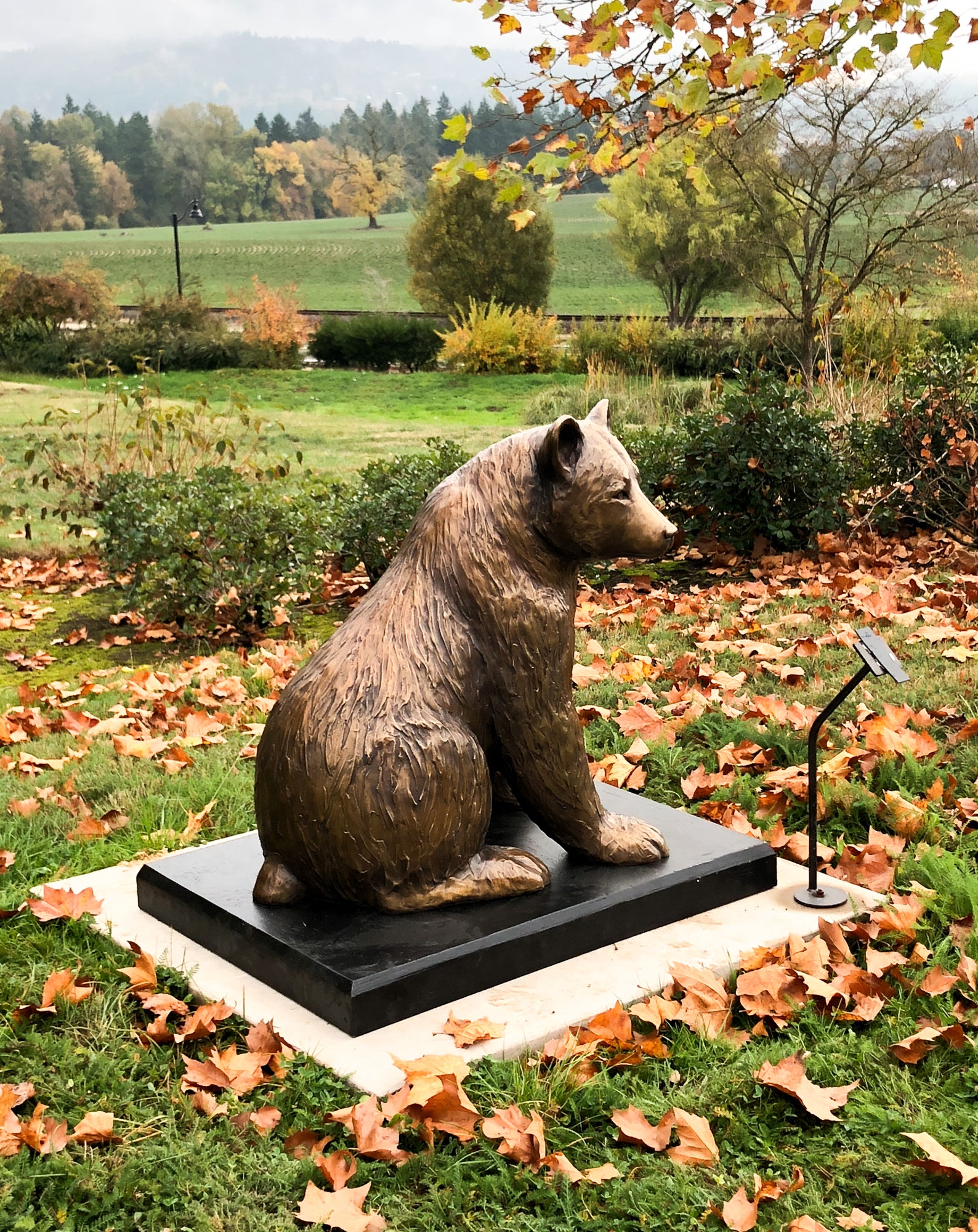 black bear landscaping