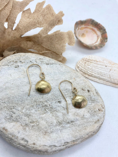 SOLID 14K YELLOW GOLD HAWAIIAN SEA SHELL STUD POST EARRINGS 9MM – Arthur's  Jewelry