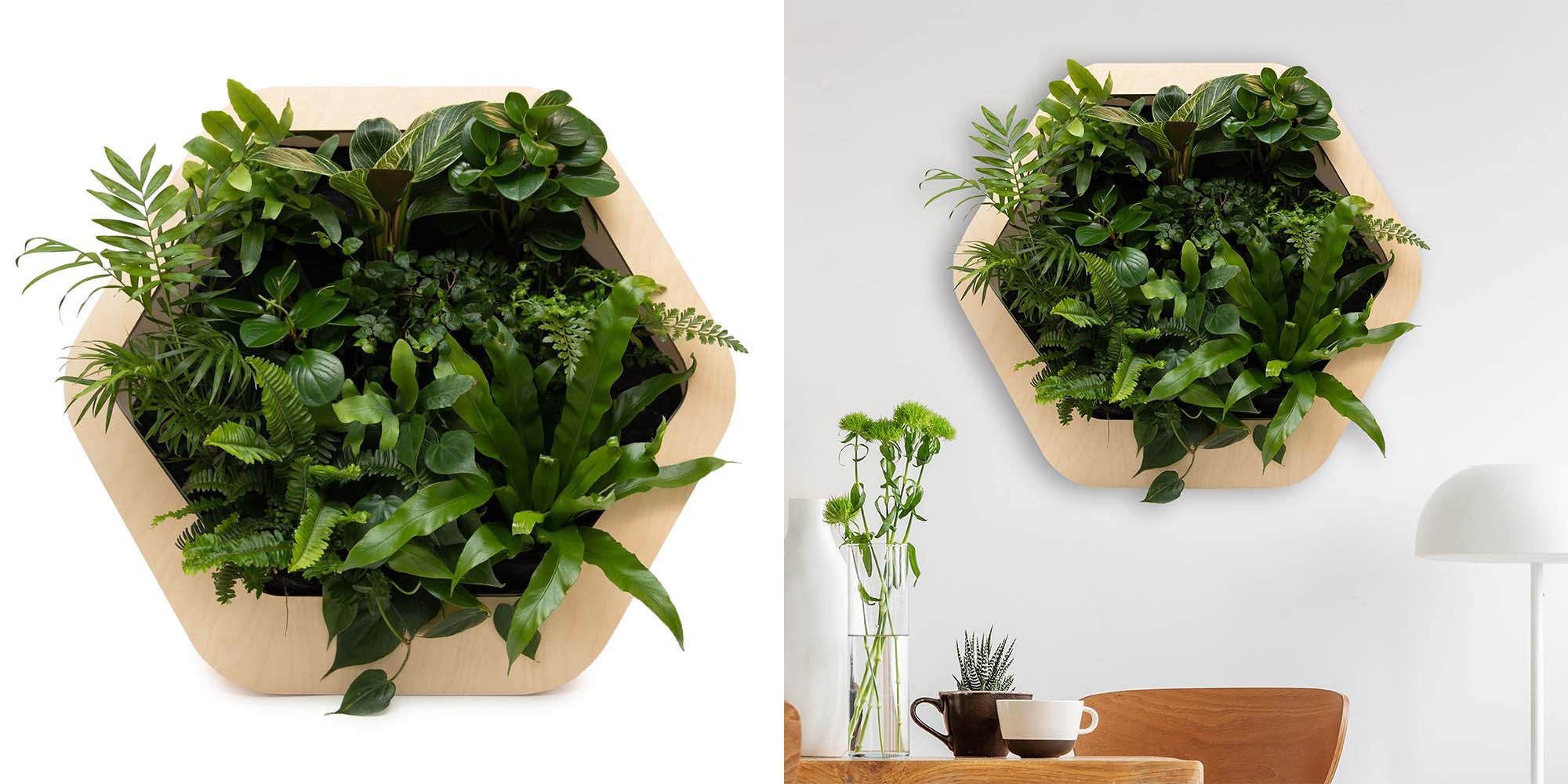 Gromeo x SFMOMA Living Wall