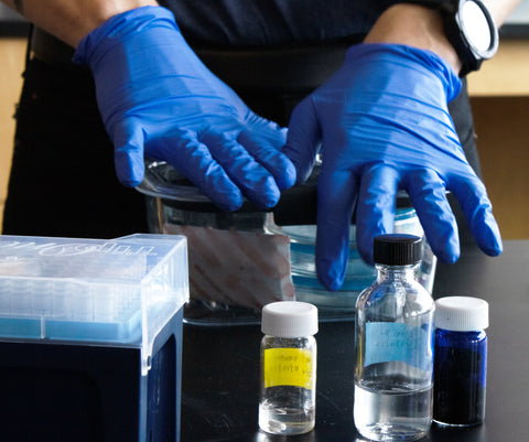 Scientist closing an anaerobic container. Items on benchtop around container include a box of pipette tips and three vials of solutions.