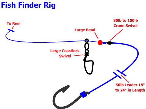 Saltwater Anglers Guide to Fishing with Bait- How to rig, use and