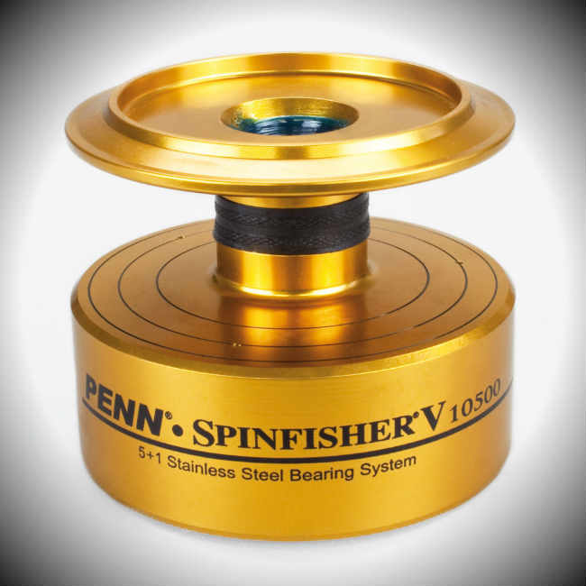 PENN Spinfisher V Spinning Reel Review - Wrightsville Beach