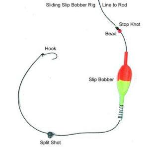 slipbobberwhite How To Set Up A Trout Rig And Line? - An Easy And Effective Guide