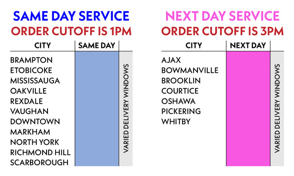 Same-Day Next-Day Schedule