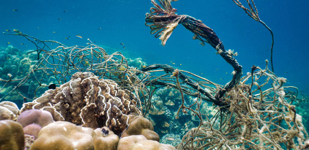 Ghost nets Fischernetze Meereschutz Meerkorn