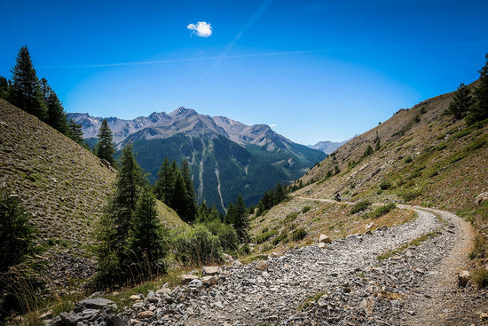 French Alps