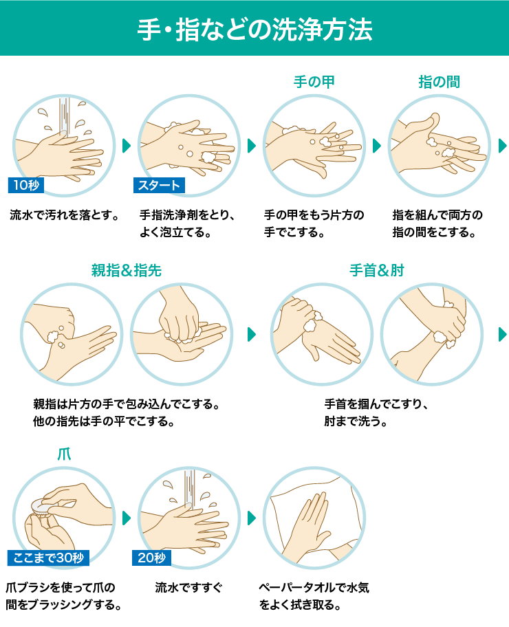 手・指などの洗浄方法