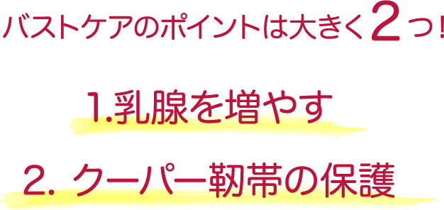 バストケアのポイントは大きく2つ！1.乳腺を増やす 2. クーパー靭帯の保護