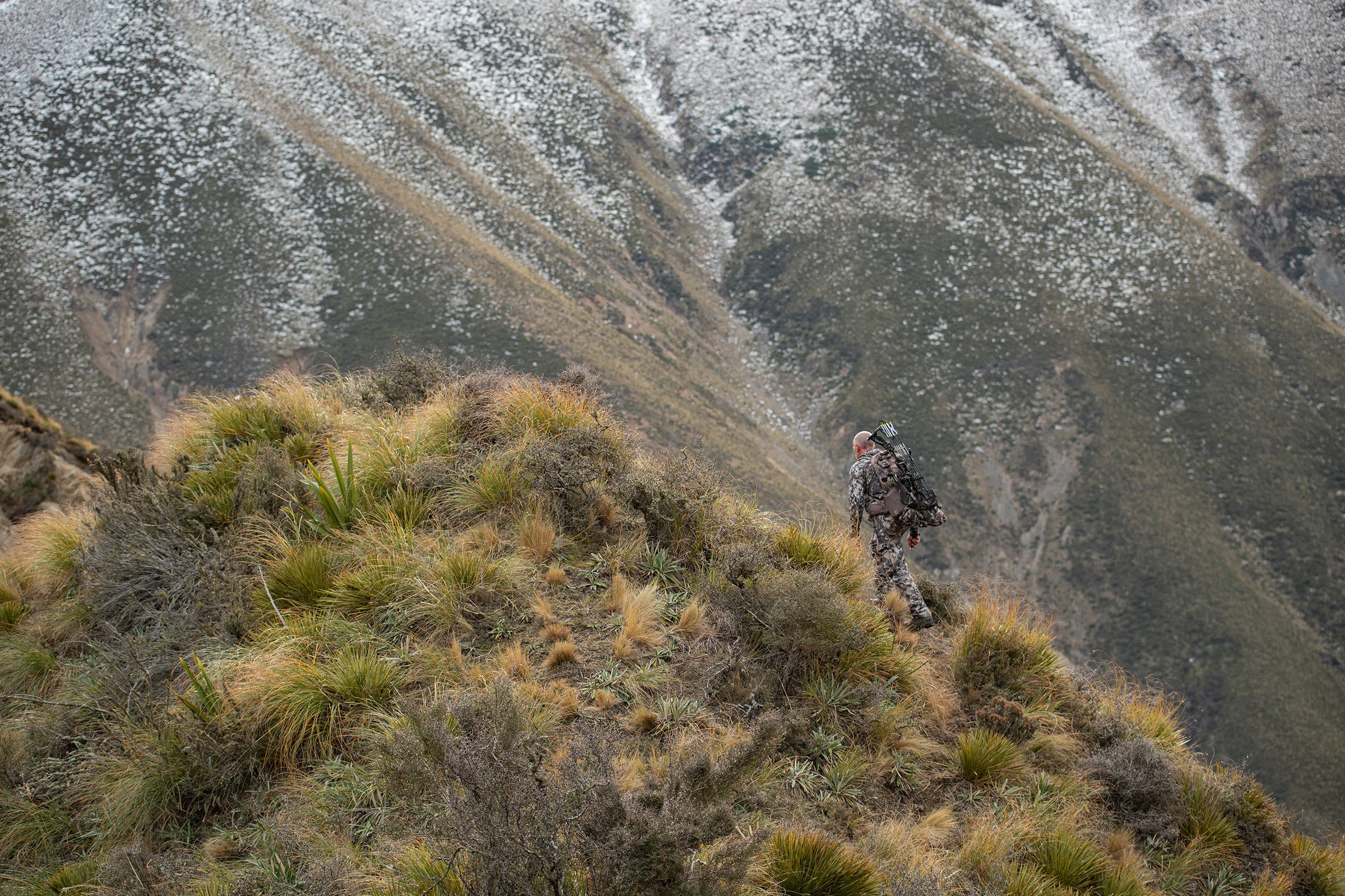 Rob climbs a mountain in New Zealand in search of Himalayan tahr