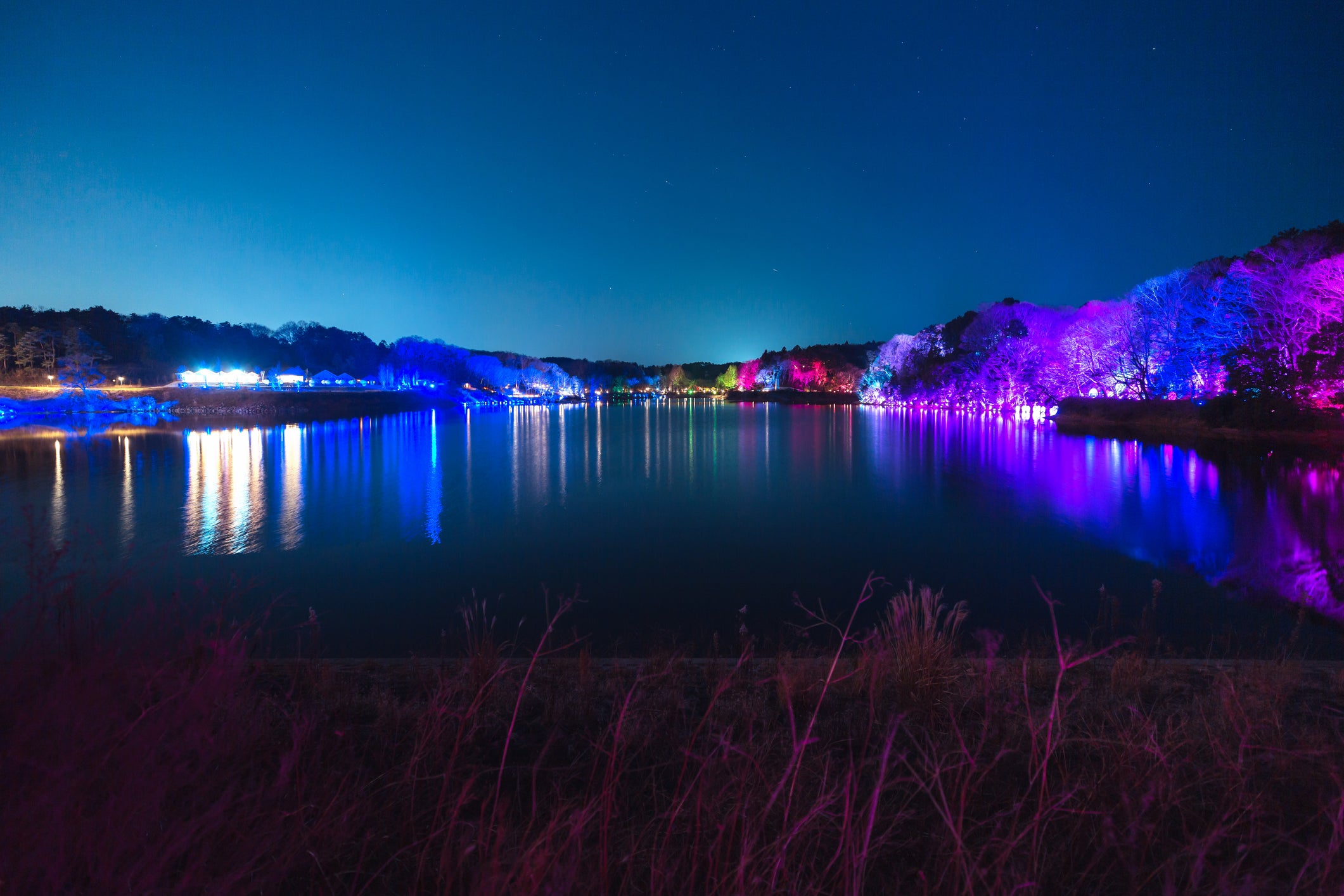 Teamlab Digitized Lakeside and Forest in Saitama