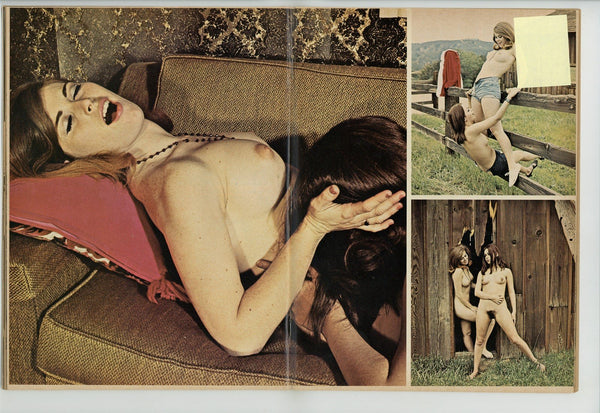 Desiree West Porn Magazine - Desiree West 1975 Men's Digest 84pg Vintage Porn Magazine Porno M20150 â€“  oxxbridgegalleries