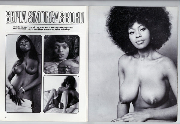 Black Busty Breasts - Black & Busty V1#1 Blaxploitation Big Boobs Porn 1979 Jennifer Jordan â€“  oxxbridgegalleries