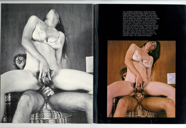 Lab Anal Sex - Lab Lust V1 #1 TQuality Porn 1979 Hot Couple Anal Sex 48pg Academy Pre â€“  oxxbridgegalleries