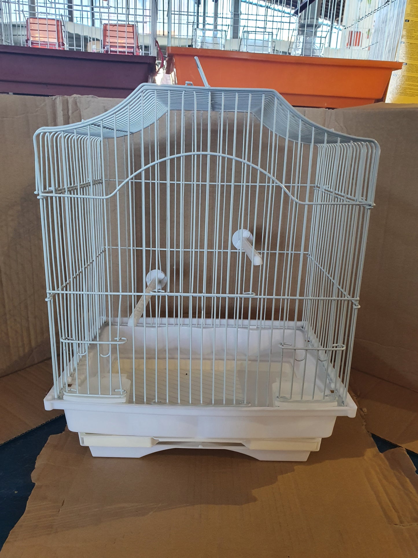 Witte Kooi – Birdshop Christina Pet Shop