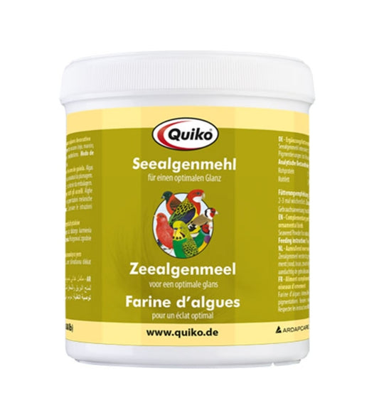 Broccoli 100g - Apport En Proteines Et Mineraux - Quiko