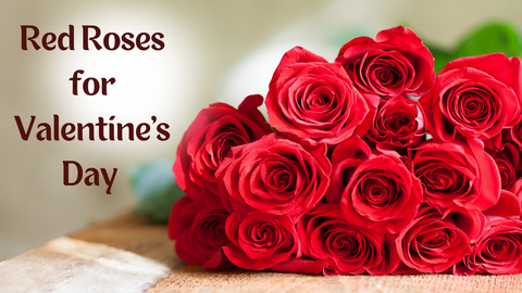 Red Roses for Valentine's Day