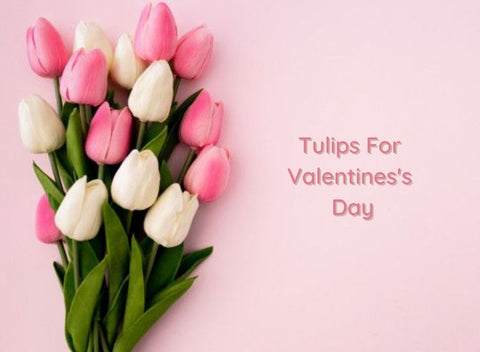 Tulips Bouquet for Valentine's Day