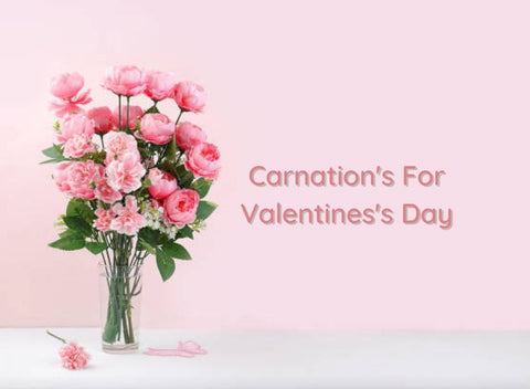 Carnations for Valentine's Day