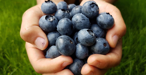 Benefits of Blueberry