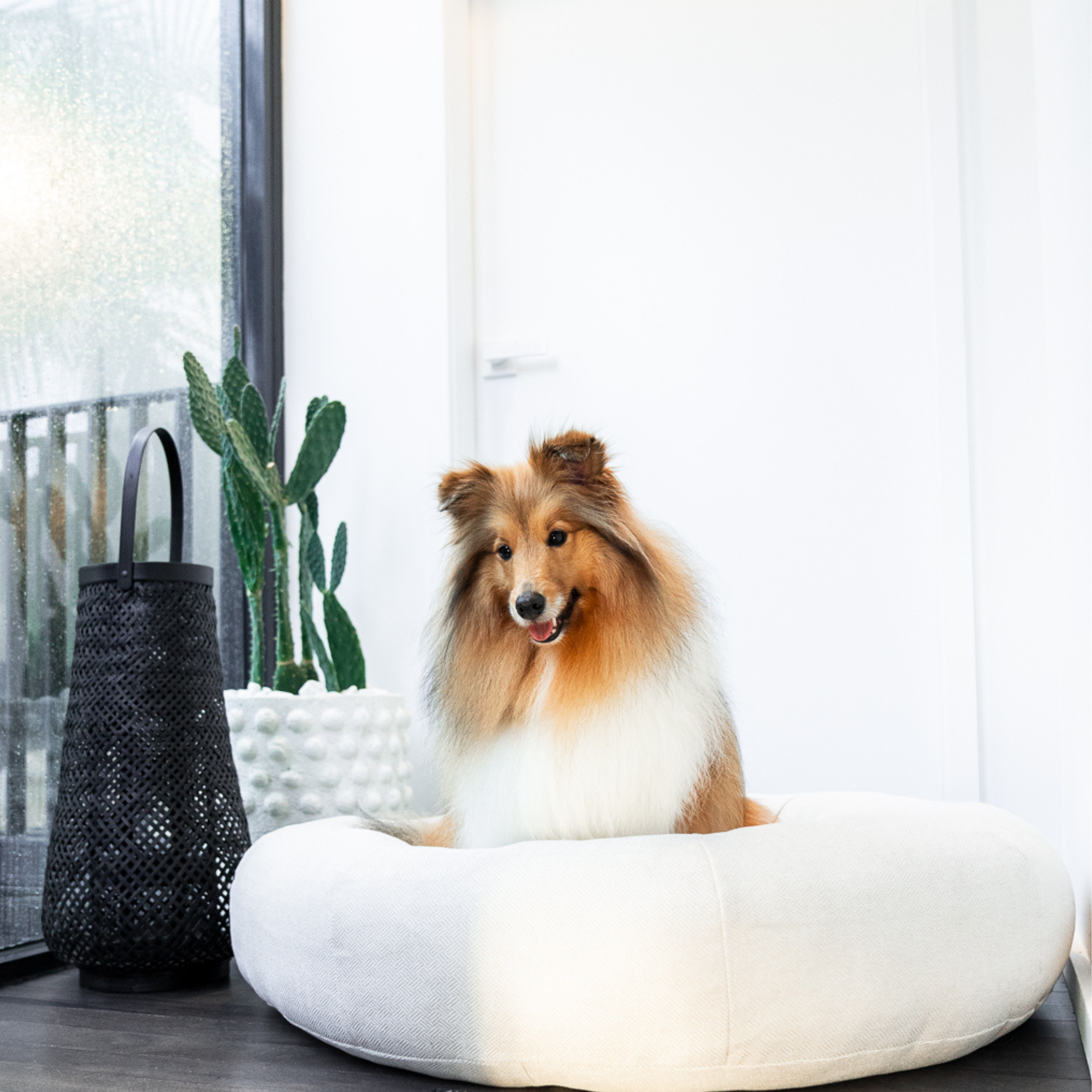 Premium Classic Cuddler Dog Bed - Furlore product image