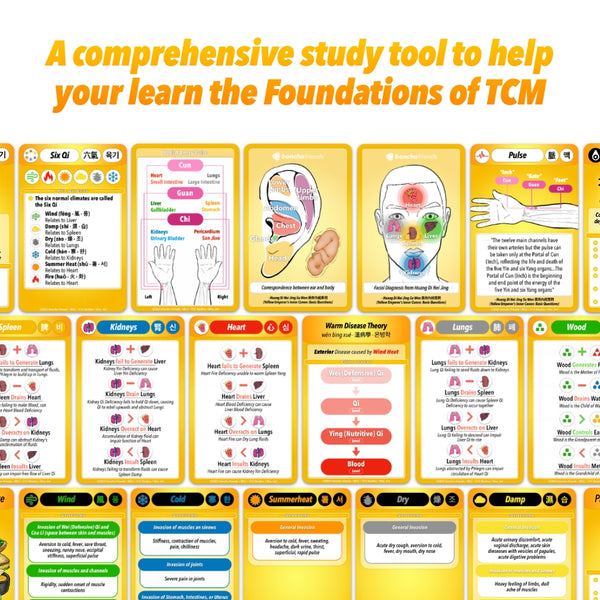 Foundations Deck, OM Theory study cards, TCM foundations, Chinese Medicine, Eastern Medicine, TCM study cards