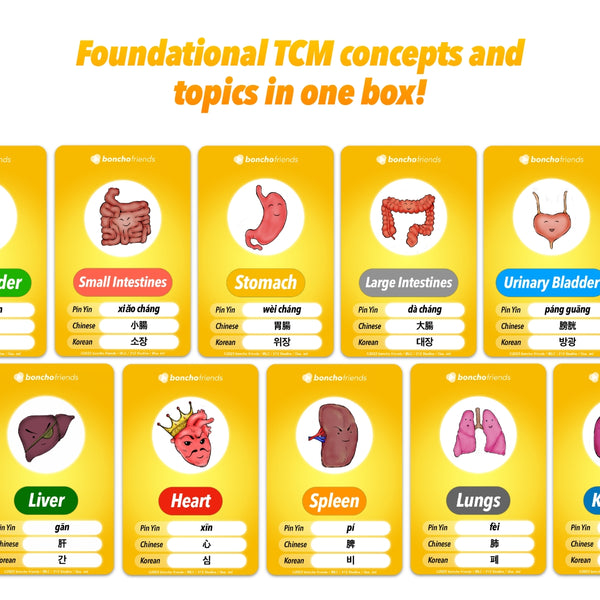 Foundations Deck, OM Theory study cards, TCM foundations, Chinese Medicine, Eastern Medicine, TCM study cards, Zang Fu, TCM organs