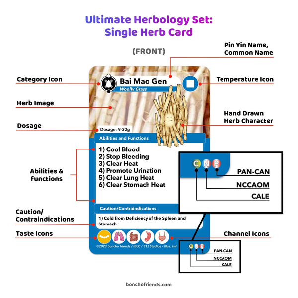 the Ultimate Herbology Set, 271 Herbs, 162 Formulas, Boncho Friends Formulas, TCM Single Herb Card, Herbology, Chinese Medicine, Herbal Medicine, Study Cards, Boncho Friends