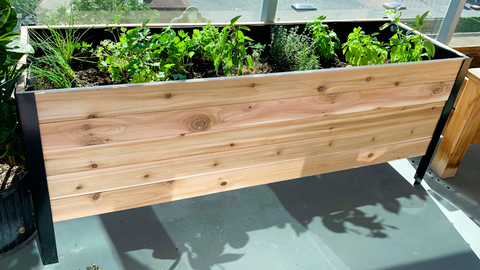 Cedar Planters Raised Garden Bed