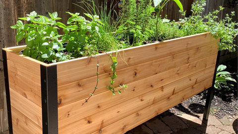 Cedar Planters Raised Garden Bed
