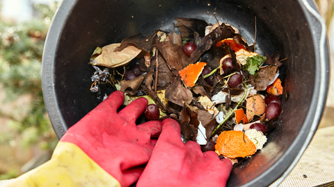 Compost Bin