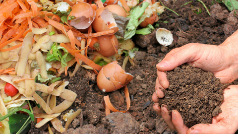 Hands Holding Compost