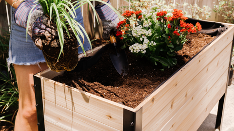 Cedar Planters Raised Garden Bed