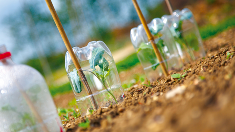 Garden Cloche