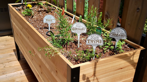 The Best Herbs To Grow In Raised Garden Beds – Cedar Planters