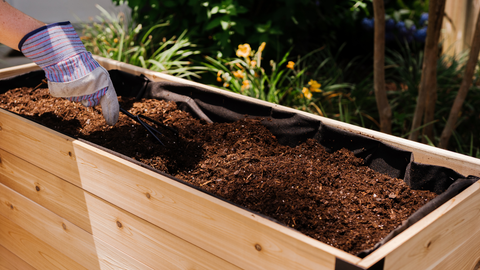 Raised Garden Bed