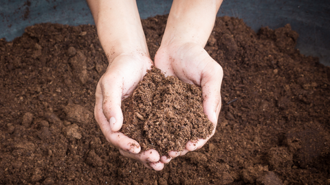 Improve Your Soil