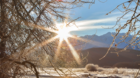 Winter Solstice Scene