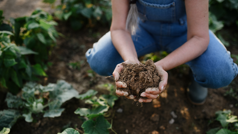 Adding Mulch To Your Soil To Improve Nutrients