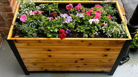 Cedar Planters Raised Garden Bed