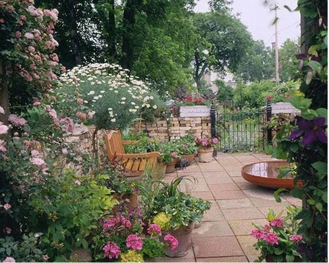 pots filled with flowers