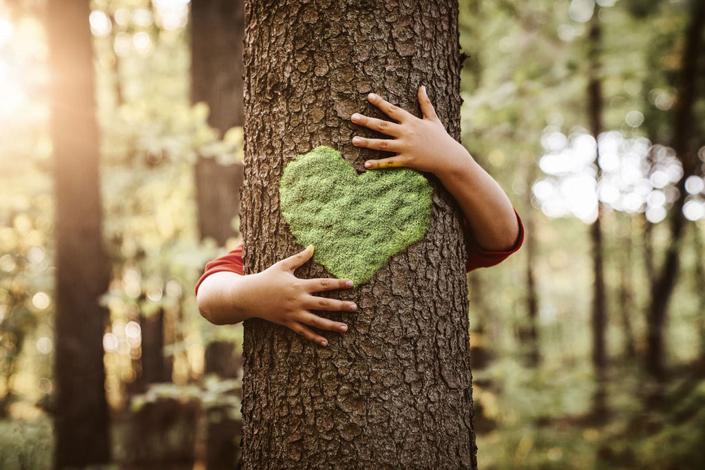 Eco-friendly-Nature-lover-close-up-of-child-hands-hugging-tree